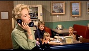 The Birds (1963)Doreen Lang, Tides Wharf Restaurant, Bodega Bay, California, Tippi Hedren, green, painting and telephone